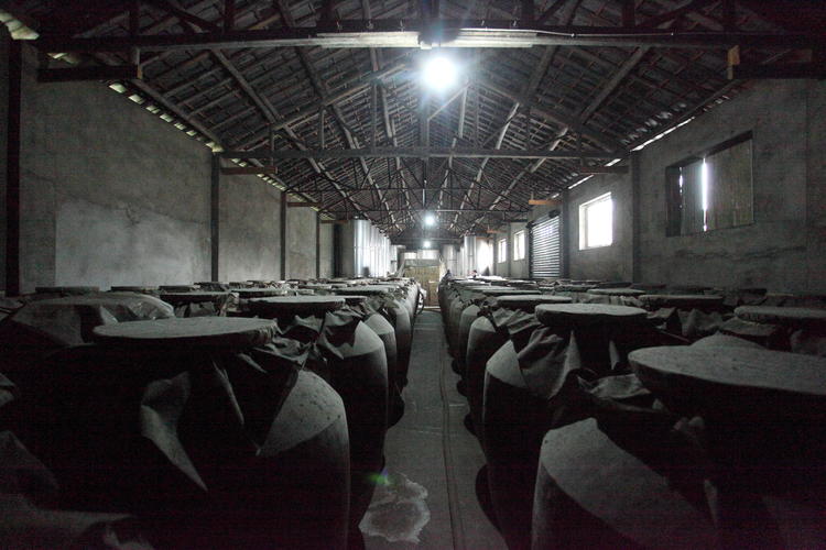 EF3E9E70-3665-4941-83B1-30A49BB95E5E